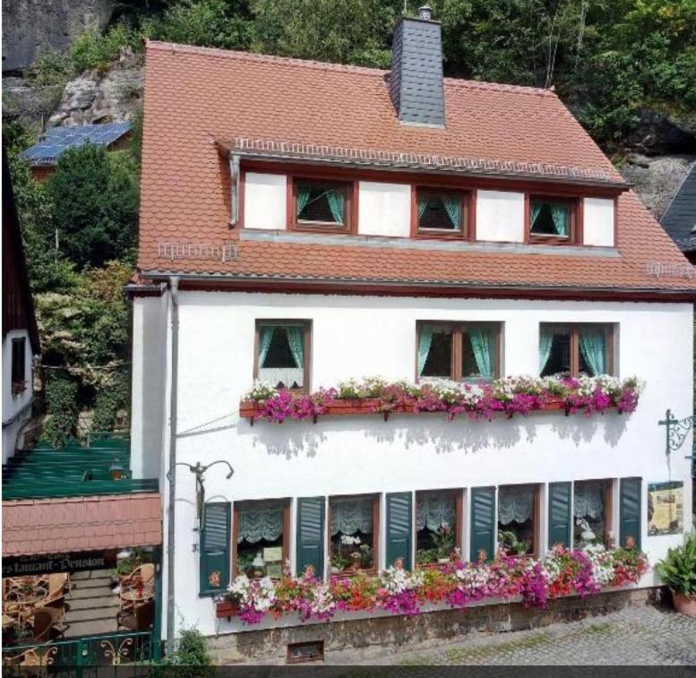 Pension Fuhrmann's Elb- Café Bad Schandau Exterior foto